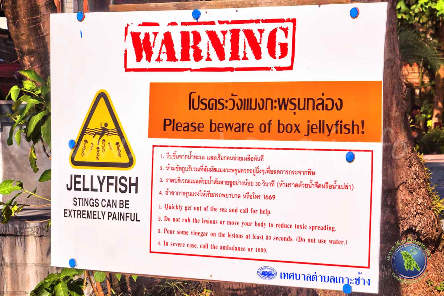 Quallen-Warnung auf Koh Chang
