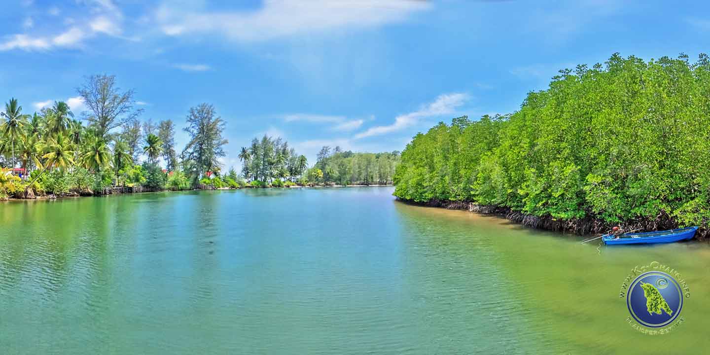 Mangroven am Klong Chao auf Koh Kood in Thailand