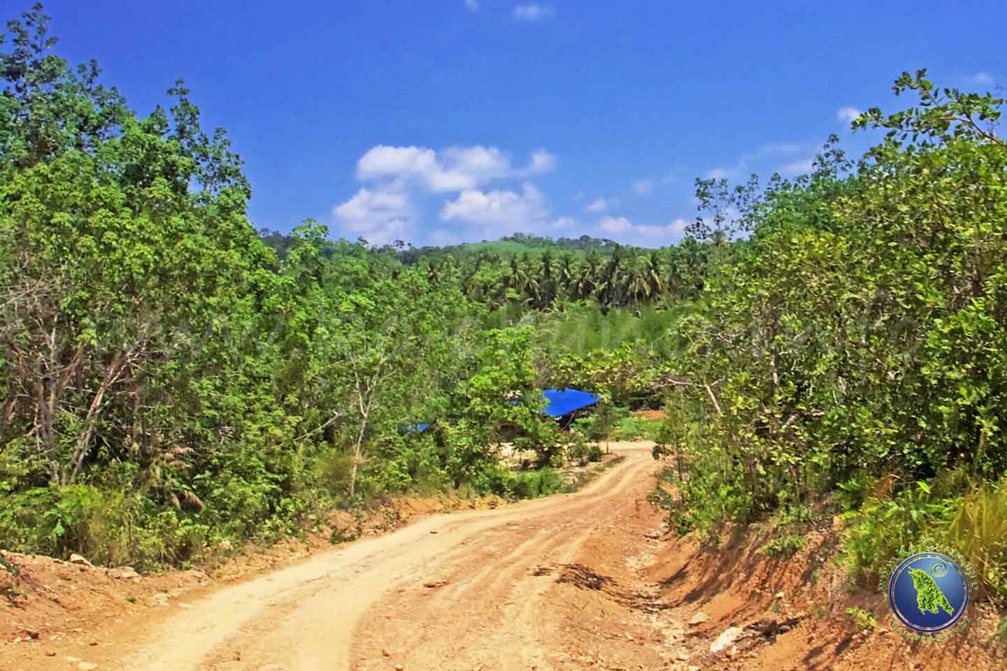 Koh Kood in Thailand