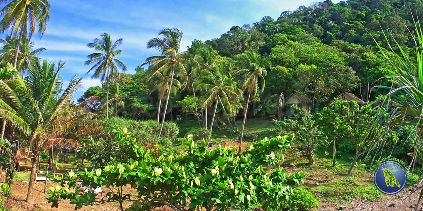 Rayang Purin Resort auf Koh Rayang Nok in Thailand