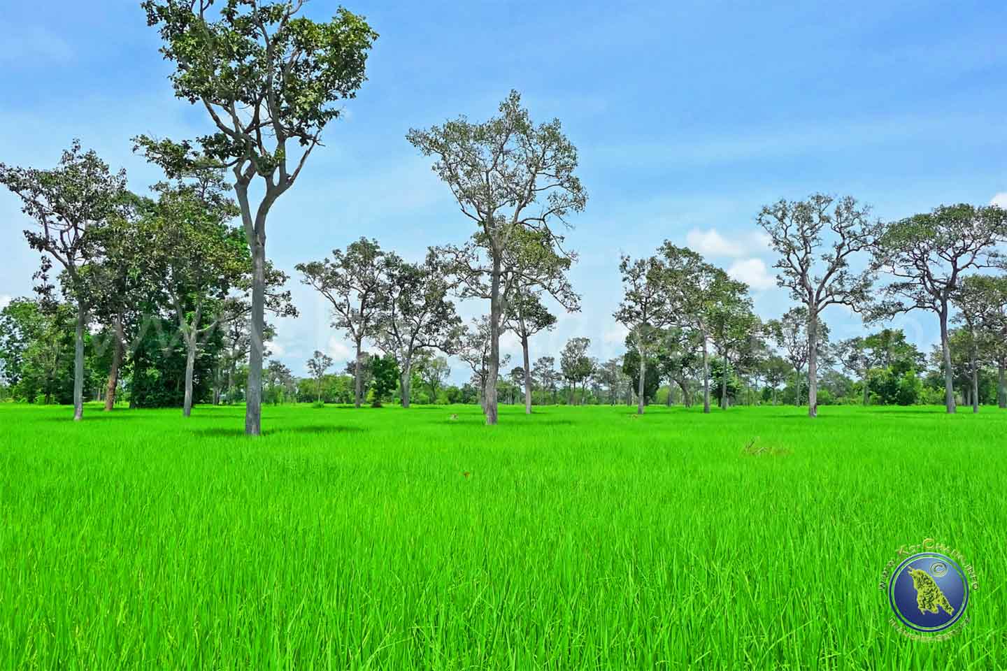 Thailands Nordosten Isaan